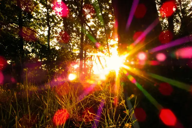 Summer Solstice Celebration