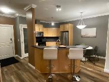 2 Bed, 2 Bath Condo for Lease in Edmonton available August 1st - Photo 3