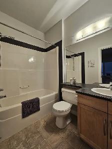 2 Bed, 2 Bath Condo for Lease in Edmonton available August 1st - Photo 7