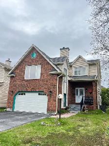 roofing / gutter / soffit
