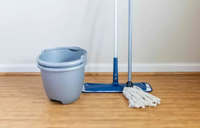 Wanted Housekeeping