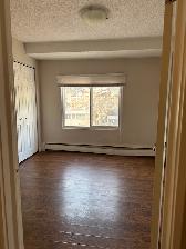 Cozy downtown living. Studio/1 Bedroom/2 Bedroom. Pet friendly! - Photo 2