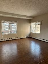Cozy downtown living. Studio/1 Bedroom/2 Bedroom. Pet friendly! - Photo 3