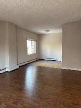 Cozy downtown living. Studio/1 Bedroom/2 Bedroom. Pet friendly! - Photo 5