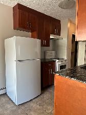 Cozy downtown living. Studio/1 Bedroom/2 Bedroom. Pet friendly! - Photo 6