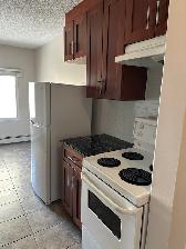 Cozy downtown living. Studio/1 Bedroom/2 Bedroom. Pet friendly! - Photo 7