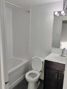 Cozy downtown living. Studio/1 Bedroom/2 Bedroom. Pet friendly! - Photo 8