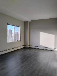 Cozy downtown living. Studio/1 Bedroom/2 Bedroom. Pet friendly! - Photo 9