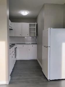 Cozy downtown living. Studio/1 Bedroom/2 Bedroom. Pet friendly! - Photo 10
