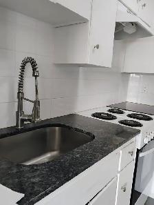 Cozy downtown living. Studio/1 Bedroom/2 Bedroom. Pet friendly! - Photo 11