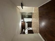 Cozy downtown living. Studio/1 Bedroom/2 Bedroom. Pet friendly! - Photo 15