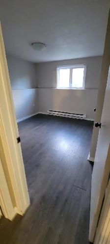2 BEDROOM APARTMENT(1YR-LEASE) FOR RENT IN BEAUTIFUL ST-ANTOINE! - Photo 4