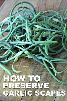 READY ONTARIO ORGANIC GARLIC SCAPES SOLD IN BASKETS $6.00 EACH! - Photo 7
