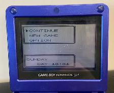 Pokemon Silver - Photo 8