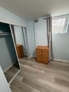 1 Bedroom  basement apartment for rent in Scarborough/Morningsid - Photo 2