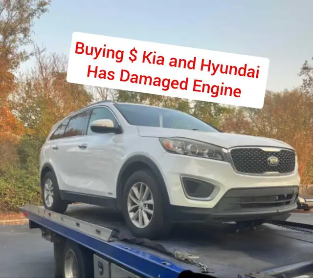 Buying $ Hyundai and Kia ( has damaged engine )