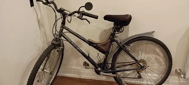 Mountain Bike adult size rides nice