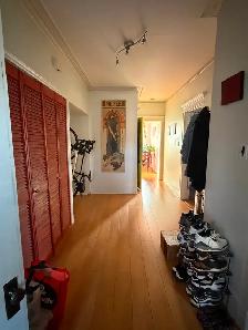 Fantastic 4 ½ in great Verdun location - Available for July 1 - Photo 6