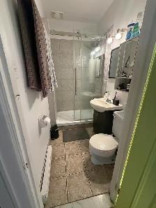 Fantastic 4 ½ in great Verdun location - Available for July 1 - Photo 9
