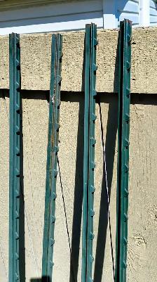 T-Posts - 6' steel T-posts for staking new trees - Photo 2