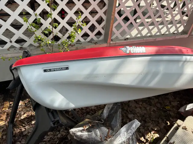 kayak ( Pelican )