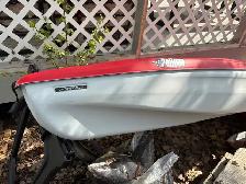 kayak ( Pelican )