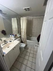 Downtown Mississauga Shared Room | Near Square One, GO Transit - Photo 3