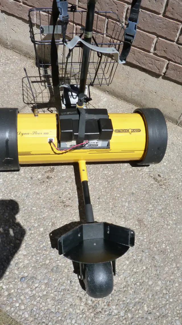 Electric Golf Cart