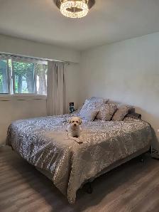 Beautifully Renovated 3-Bedroom Main Floor Home in Surrey - Photo 5
