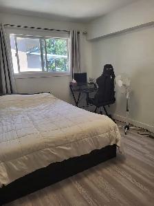 Beautifully Renovated 3-Bedroom Main Floor Home in Surrey - Photo 6