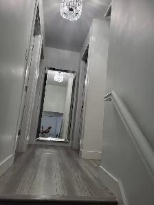 Beautifully Renovated 3-Bedroom Main Floor Home in Surrey - Photo 11