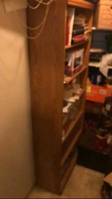 $20 shelving unit- lots of free stuff here