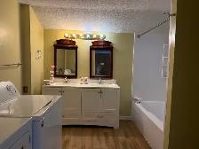 Excellent Income Potential Well maintained Corner Triplex - Photo 4