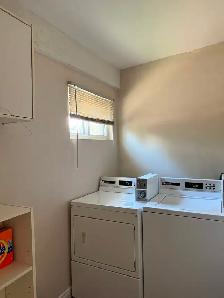 Excellent Income Potential Well maintained Corner Triplex - Photo 8