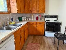Excellent Income Potential Well maintained Corner Triplex - Photo 11