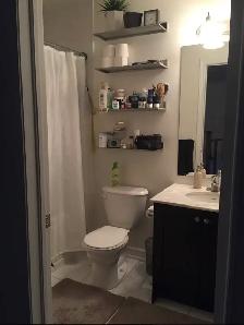 Modern Townhouse for Rent at Danforth/Warden - Photo 5