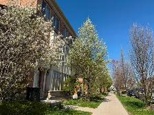 Modern Townhouse for Rent at Danforth/Warden - Photo 7