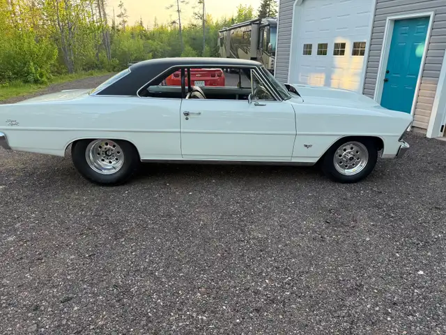 1967 nova