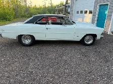 1967 nova