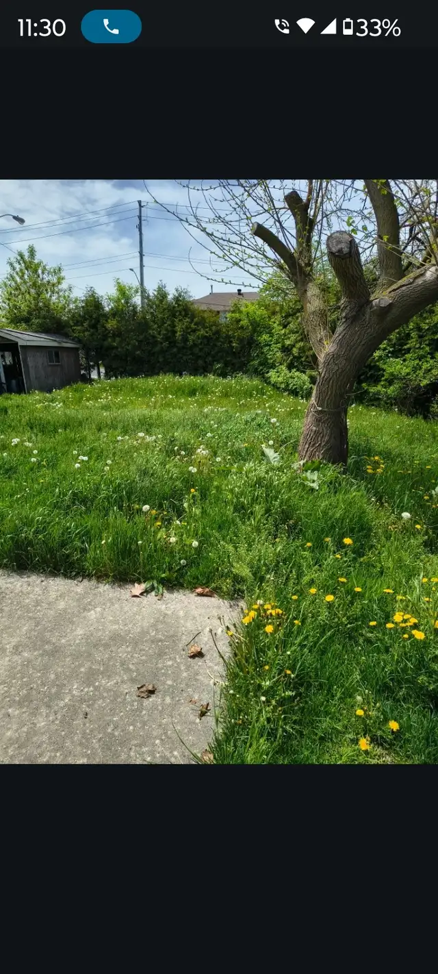 looking for EXPERIENCE grass cutter CASH PAID