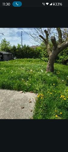 looking for EXPERIENCE grass cutter CASH PAID