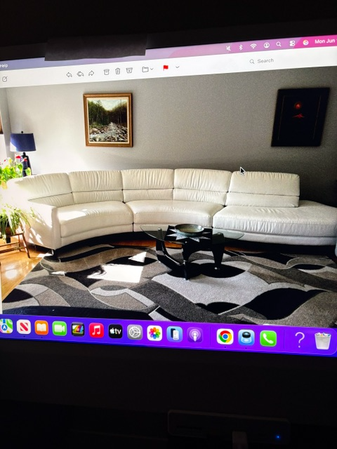 Three Piece Sectional Couch -FREE
