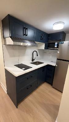 Brand new basement apartment for rent midland and lawrence - Photo 4