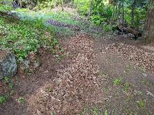 I Will Do Yardwork & Masonry 4 Cash! - Photo 5