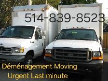 DÉMÉNAGEMENT MOVING URGENT 5148398523