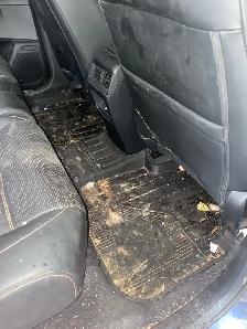Vehicle Cleaning Chatham - Photo 3