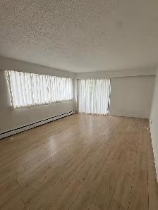 Bright 1-Bedroom Suite Near Commercial Drive - Photo 4