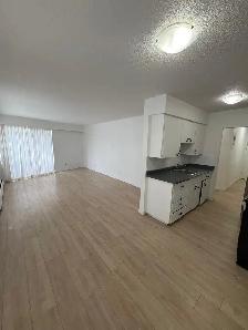 Bright 1-Bedroom Suite Near Commercial Drive - Photo 5