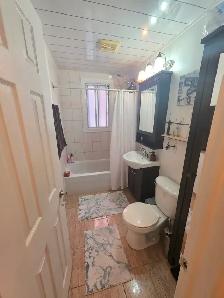 NDG – Grand 4½  - 1er AOÛT, appartement de coin, côté Sud ☀️ - Photo 8