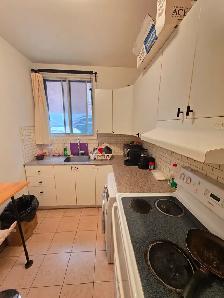 ☀️ GRAND STUDIO / 2½ – NDG – DISPONIBLE 1ER JUILLET ☀️ - Photo 3